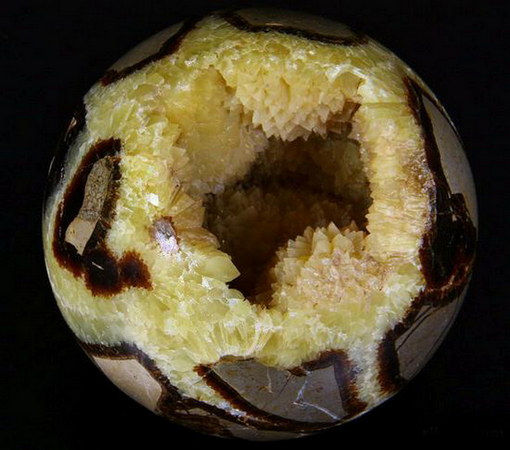 Dragon Septarian Stone